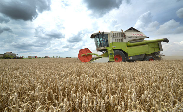 Комбајни у трци са кишом